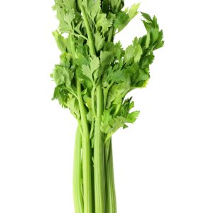 Celery