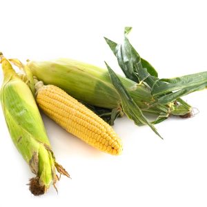 corn in studio