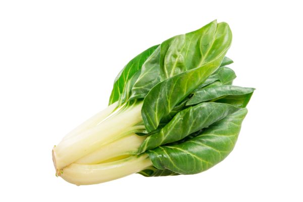 Isolated Chard